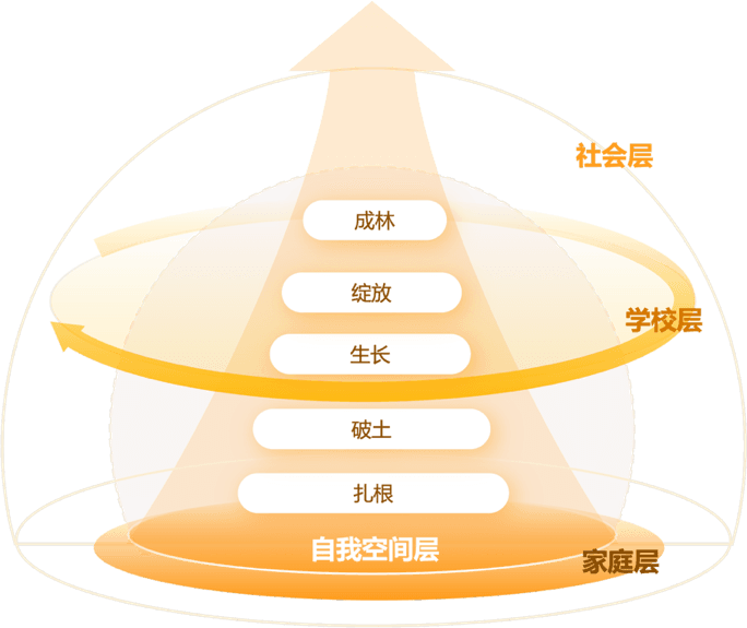 心略四维养育模型
